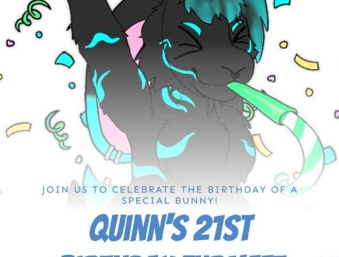 Quinn's Lucky Birthday Meet