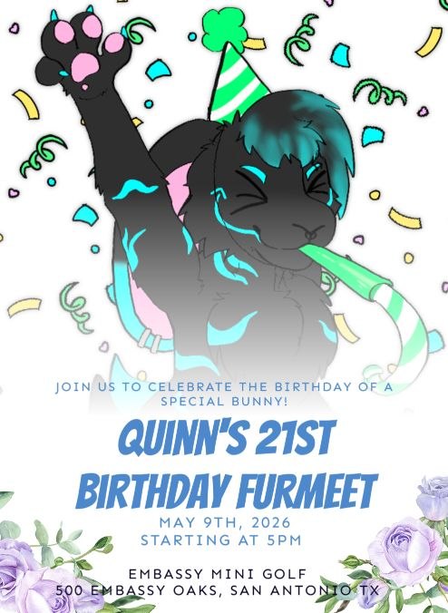 Quinn's Lucky Birthday Meet