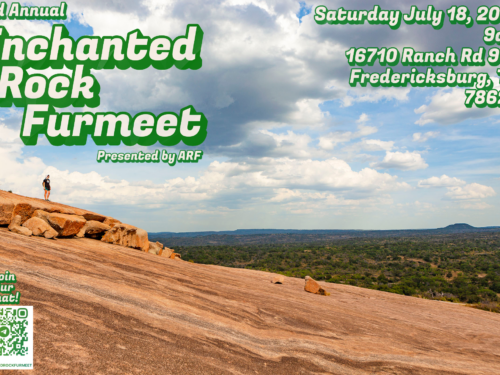 2nd Annual Enchanted Rock Furmeet