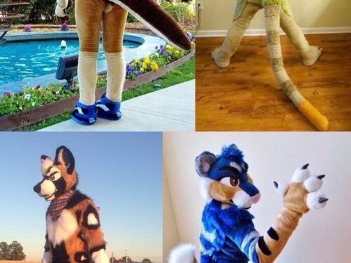 Texas Furry Siesta