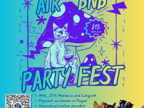 Airbnb Party Fest